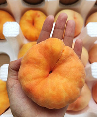 ����ȥ�������ë��ҡ�����ң����ֲ���