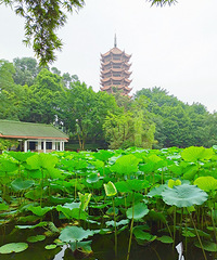 碧津公园