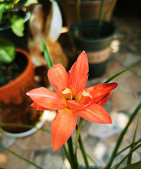 �������ˣ��������������ͦ�õģ�����������кü���Ʒ��