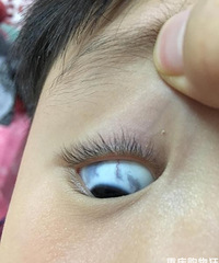 ǰû֣࿴޶۾۰ΧɫĻ