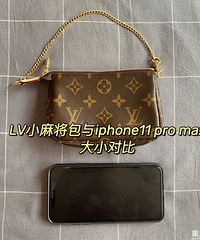 LV小麻将包装得下苹果11吗?进来看我告诉你!