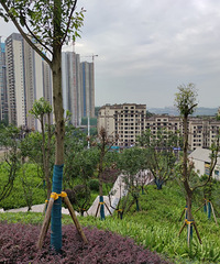 �������������ѧ