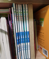 我为女儿准备幼升小的学习资料,可能觉得会很多,但是很有效果