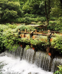 1.5Сʱ�͵���С��ˣˮ�أ��Լ��������ٲ�������С�߿׵ĸо�