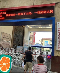 沙坪坝小学入学现场审核,面积要求特别严!沙坪坝小学情况介绍