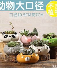 ����Ķ��⻨�裬��������Щ