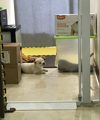 ���������ϴ��ȥ�ˣ�С�������ڼҵȣ�һ���춯��̧ͷ