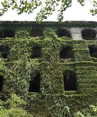 11СɫϽ̵ִ㣬Щȷ򿪷ʽ