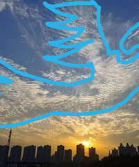 �����ĵ�����ۣ�������������������Ƭ����ʲô��