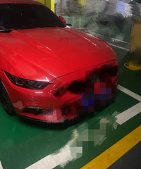 ���ű��ھ�������ô�죿ƽʱ�Լ������Ŷ���С��������