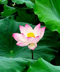 ����ط����Ա߳Ի���߿��ɻ����ǳ���⣬С���ѻ���ˣɳ