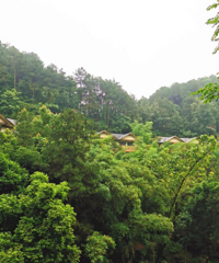 1小时就到建在悬崖边,养的有动物的度假酒店,人少空气好