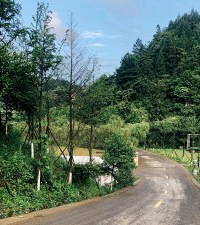 南川真是个亲子游宝藏地,烧烤露营住帐篷,全部包完才99元