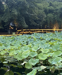 ���δ�С�䵽��Ĺ�԰��ԭ����һֱ������ô�ĺÿ�