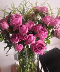 ��������һ�ѻ���28Ԫ���аٺϡ��������ݡ��λðű�