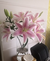 ��������һ�ѻ���28Ԫ���аٺϡ��������ݡ��λðű�