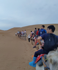 һ·�򱱵ķ羰Ҳ����������ɳĮ�ͺ����ֵ����������Ը���