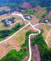 重庆乡村旅游哪里好耍?请收好这张地图