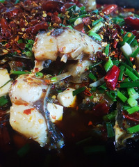 �����˶��Ƽ�����Ҷ����㣬����о�Բ����