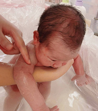 ���ڳ���15�����ǰ�����ĵ��գ�˭���뵽�������и�7�����