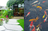 ҵĻ԰л㡢мɽˮһС˵