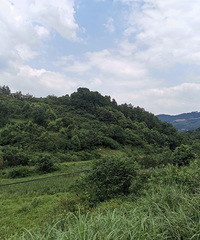 我竟然坐着宝马去了这家神奇民宿—别花山房!