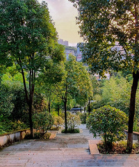 为了健身决定逛可以爬山的公园,这条路线绝美!安利给你们