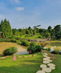 为了健身决定逛可以爬山的公园,这条路线绝美!安利给你们