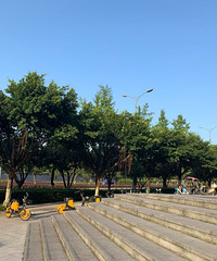 ����7�����粻������գ�������������췢������