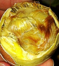 ʲô�������Ҳ���ԣ�����˵����Щ̫�����ˣ�ֱ�Ӿ����°�