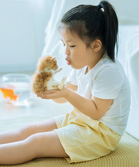 ǻҼǱˮοͣһڹӮõĸ