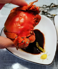 特大盘锦河蟹六月黄开团,每份优惠50元