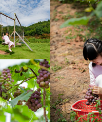 30Ӿ͵ĺõطˣ¶໹ժ