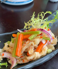 ���޵�������θ��ʳ��������צ����ù��