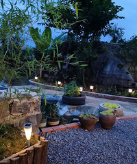 캣1200׵ĵطסޣƯ۸Ҳ