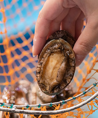 ���������ͽ�ġ����ްԡ�ǿ�ƻع飬���ֲ�Ʒһ�γԸ���