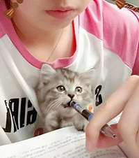 养猫的意义在于想到我可以成为它的依靠,瞬间就充满了力量