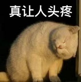 ��˽���ӱƻ�ɹ����ֹ����϶�����