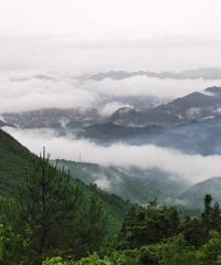 重庆周边避暑地推荐,这些地方景美还不用开空调,周末走起