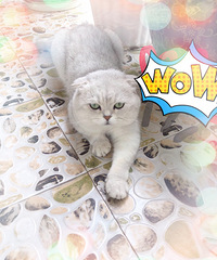 �����˴��������������¼ң���һ��Ҫ�����ã��޳��а��ľ���