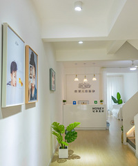 HONEY�������շ�����