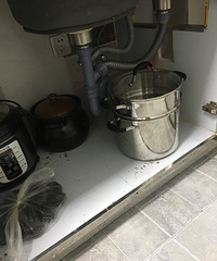 下水道反水,出差回来家里成了半个垃圾场