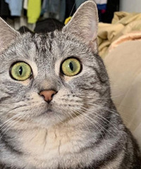 ɹɹ�ҼҰ���������èè����Ȼ��������˲��Ȧ��