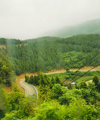 ˾չ򿨷ᶼ죬ϷѲӶˤ