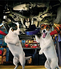 �³��ױ�û����׷β��Э�̸����޳��ڼ佻ͨ��500���Է�������