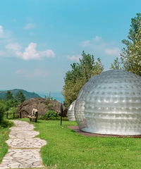 뽭ʲôģ뽭Щʳ뽭ι