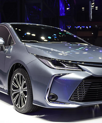 �ϰ�����Щ�����úܻ�Ҳ����Ȼ���еĳ���