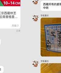 ��ĳ��������������׷��������Ĵ����ͷ��������ҽ��͵�