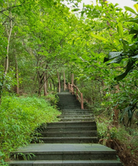 铁山坪这条登山路线风景太绝了吧!好看又没人,还有个儿童乐园