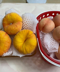 ��һ���򵽳��óԵİ��ң�һ������������